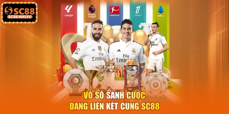 Vô số sảnh cược đang liên kết cùng SC88